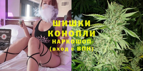 сатива Белокуриха