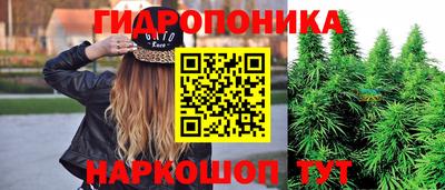 ПСИЛОЦИБИНОВЫЕ ГРИБЫ Заводоуковск