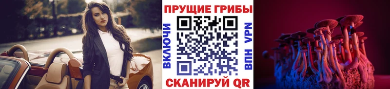 omg сайт  маркетплейс какой сайт  Псилоцибиновые грибы Psilocybe  Лыткарино 