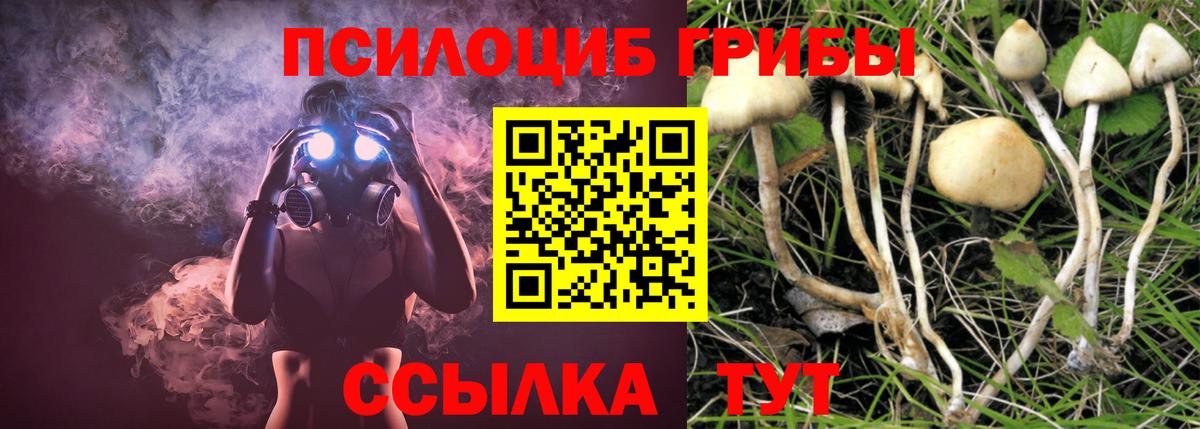 Галлюциногенные грибы GOLDEN TEACHER Лыткарино