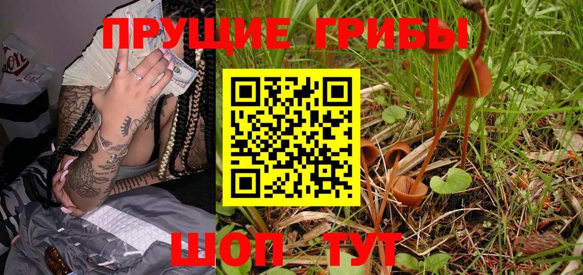 Лыткарино  Псилоцибиновые грибы мухоморы  Вход с VPN 